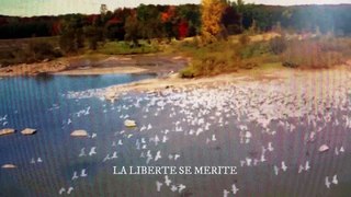 La liberté