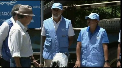 FARC finalizaron desarme en Colombia