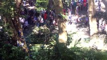 Portugal: caída de árbol provoca 12 muertos en Madeira