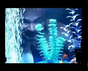 Robbery Homicide Division S01e04