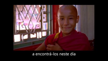 ʚїɞ  ✅ DESPERTAR | Gratidão - Louie Schwartzberg | HD Brasil