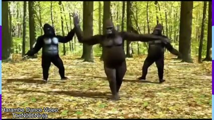 What is the shooting stars meme? A look at the history and origin of the Bag Raiders Song