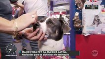 Feira em São Paulo traz novidades para os animais de estimação