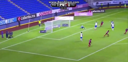 Carlos Nunez Goal ~ Puebla vs Tijuana 1-1