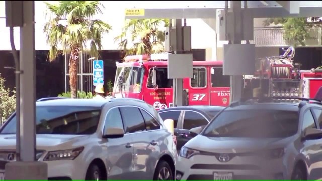 Dozens of Students Stung by Swarm of `Angry` Bees at California High School