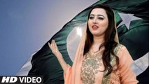 Dil Raj Urdu New  Song 2017 Dil Dil Pakistan - Tribute To Legend Junaid Jamshed