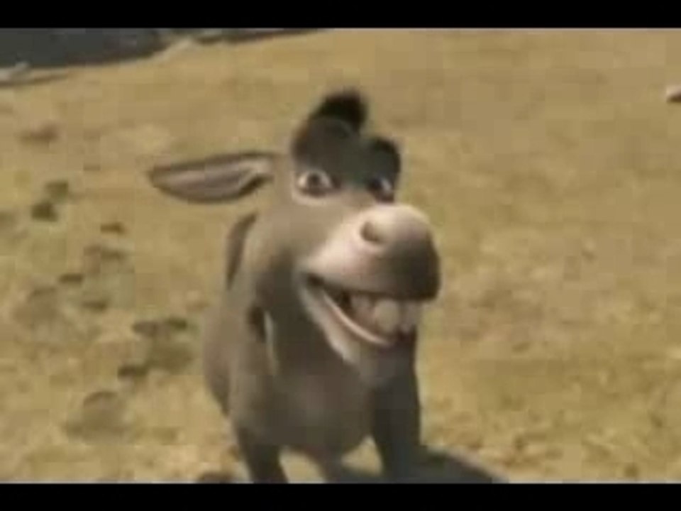 The Queen and The Donkey