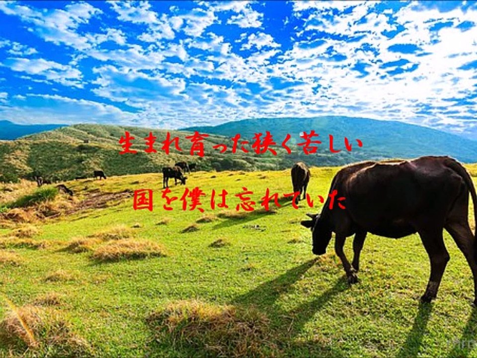我愛你台湾