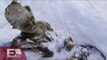 Planean rescate de alpinista congelado en Pico de Orizaba / Excélsior informa