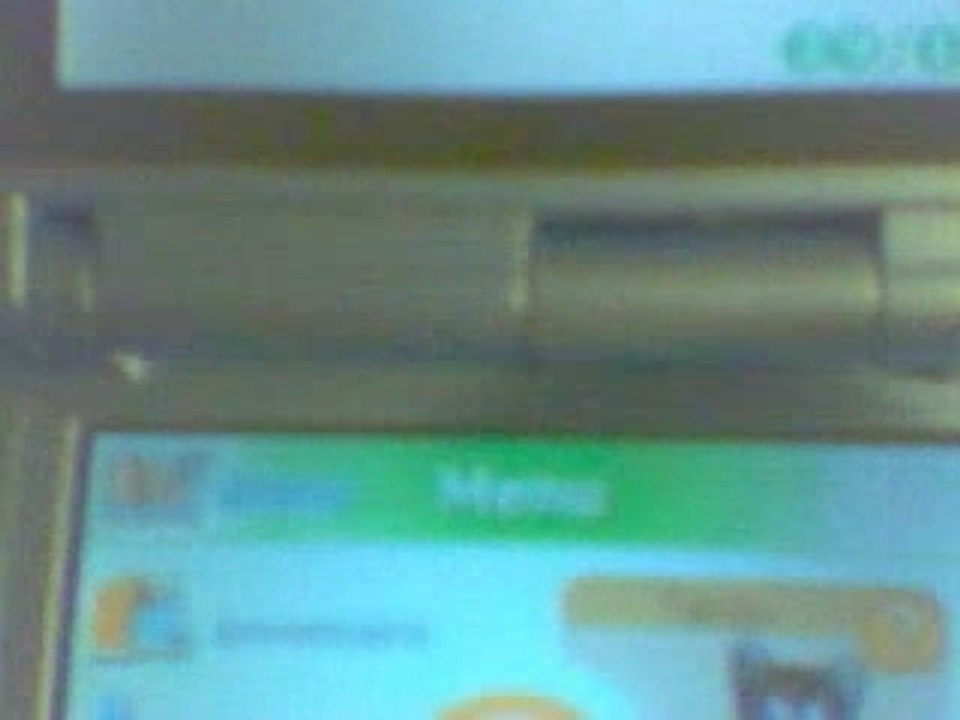 Nintendogs