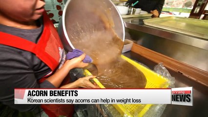 Including acorns into diet can help people lose weight