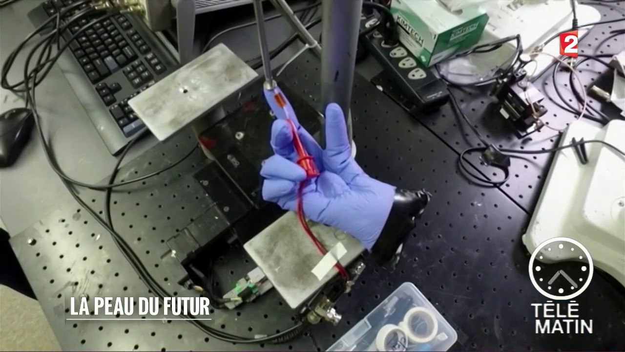 Sciences – La peau du futur