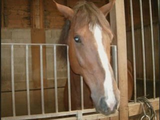 L'Etrier Bisontin, un beau centre équestre