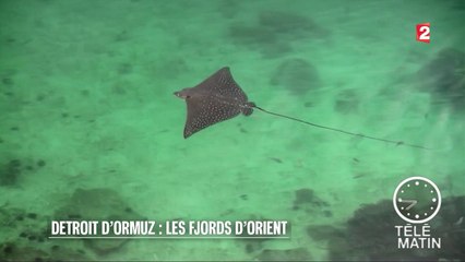 C’est un monde - Détroit d’Ormuz : les fjords d’Orient