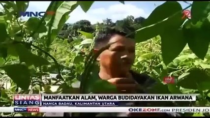 Ladang dan Hutan Jadi Sumber Mata Pencaharian Warga Perbatasan