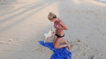 Ce chien essaie d'arracher le bikini d'une jolie blonde
