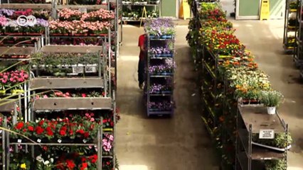 Refugees and the battle against bureaucracy | DW English