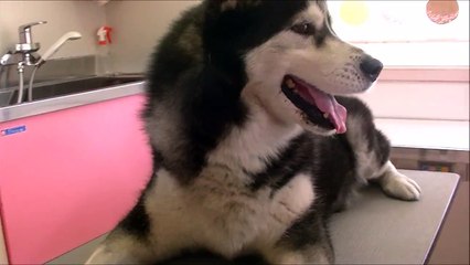 寒いのへっちゃら　照井浩也 (3)