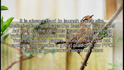 What you can do while you wait for your SEO to kick in...