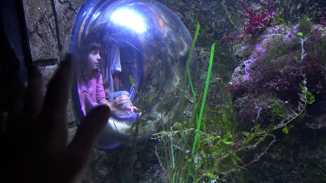 PETIT JEU  - OÙ SONT KALYS ET ATHENA  • Studio Bubble Tea-bMFAzFTFerU