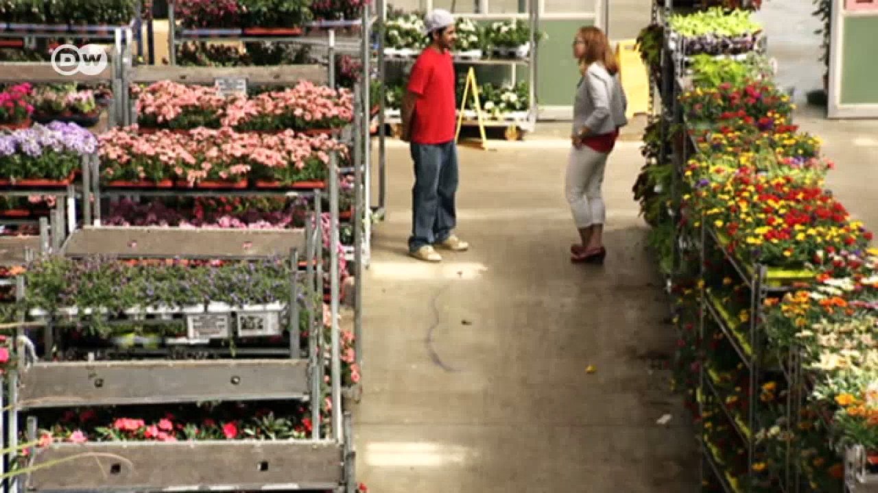 Flüchtlinge: der Kampf gegen die Bürokratie | DW Deutsch