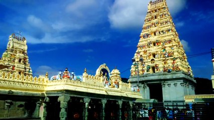 male mahadeshwara betta ಮಲೈ ಮಹದೇಶ್ವರ ಬೆಟ್ಟ