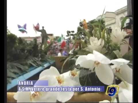 ANDRIA | A S.Maria Vetere grande festa per S.Antonio