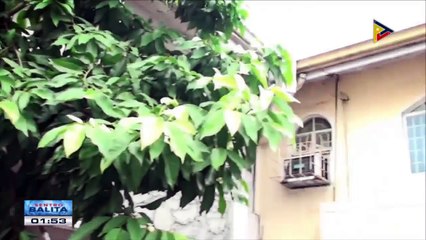 #TapangNgBatas: Ang kwento sa kaso ni Bonita Baran, tatalakayin
