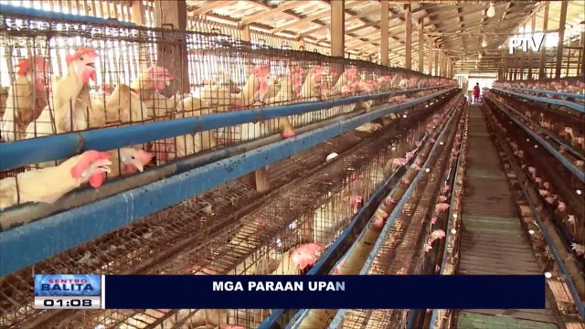 Mga paraan upang makaiwas sa bird flu virus