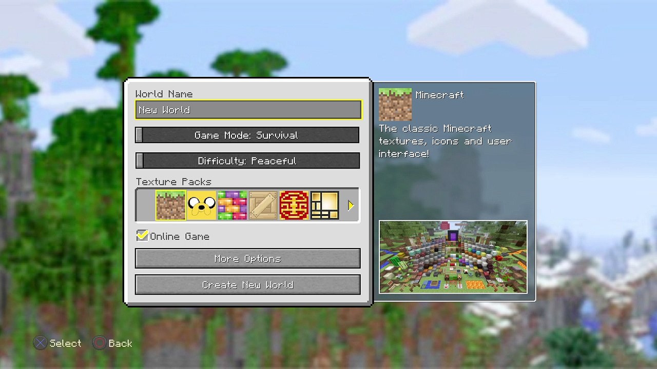 Minecraft: PlayStation®4 #1