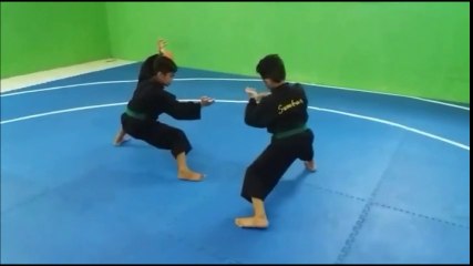 pencak silat perguruan sakato minangkabau
