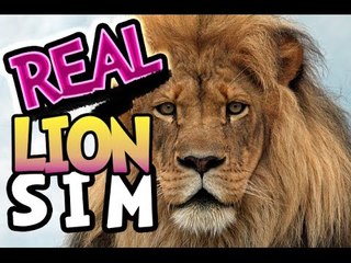 Real Lion Simulator (iOS, Android) Gameplay #1 - the real slow lion who got beat by a deer -