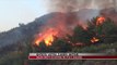 Shtatë vatra zjarri aktive, digjen rreth 40 hektarë me pyje e shkurre - News, Lajme - Vizion Plus