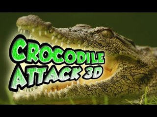 Crocodile Attack 3D (iOS, Android) Gameplay #1 - LOL is this for real?