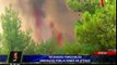 Registraron 150 incendios forestales activos en Portugal