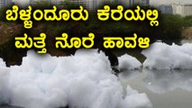 Bellandru Lake Overflows With Toxic Foams, Snowy Froth Flying Over People | Oneindia Kannada