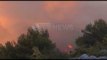 Ora News - Sot numërohen 7 vatra zjarri në Tiranë, Korçë, Vlorë, Shkodër dhe Fier