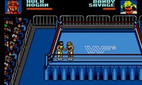 Game Gear Longplay [104] WWF Steel Cage Challenge: Tag Team Championship