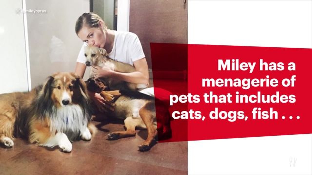 The Best Celebrity Pets