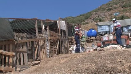 Keçiler Gitti, Ziller Kaldı...hırsızlar Ses Çıkarmasın Diye Zillerini Kestikleri 90 Keçiyi Çaldılar