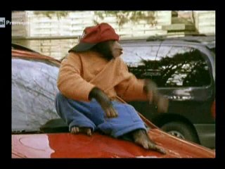 Il nostro amico Charly 10x01 - Bugie pericolose