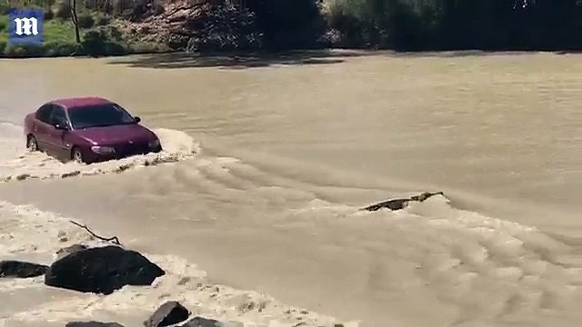 Crocodile blocks flooded road in Northern Territory