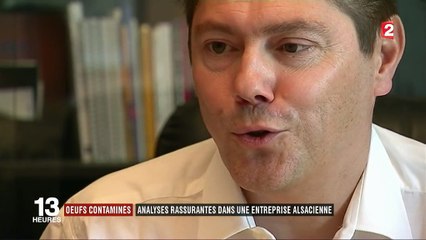 Oeufs contaminés : des analyses rassurantes dans une entreprise alsacienne