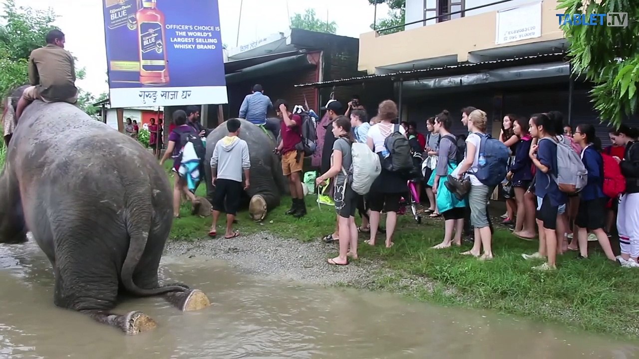 Pomáhajú ľuďom, vyťahujú z vody aj autá