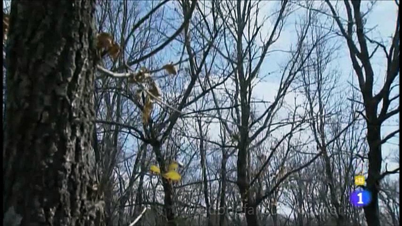 AGUILA ROJA SALVA A LA MARQUESA ESCENA 41