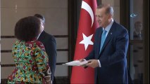 Cumhurbaşkanı Erdoğan, Tanzanya Büyükelçisini Kabul Etti
