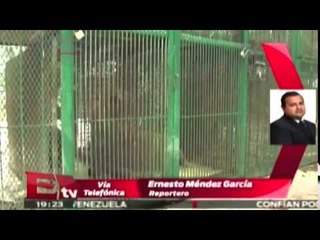Decomisan 101 animales en zoológico privado de diputado panista / Excélsior Informa