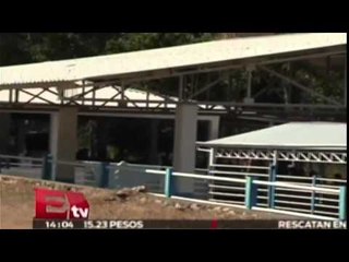 Policía federal muestra la última guarida de "La Tuta" / Titulares de la tarde