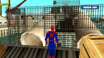 Şimşek McQueen Örümcek Adam İle Ninja Parkurunda (Çizgi Film Tadında Türkçe Dublaj)
