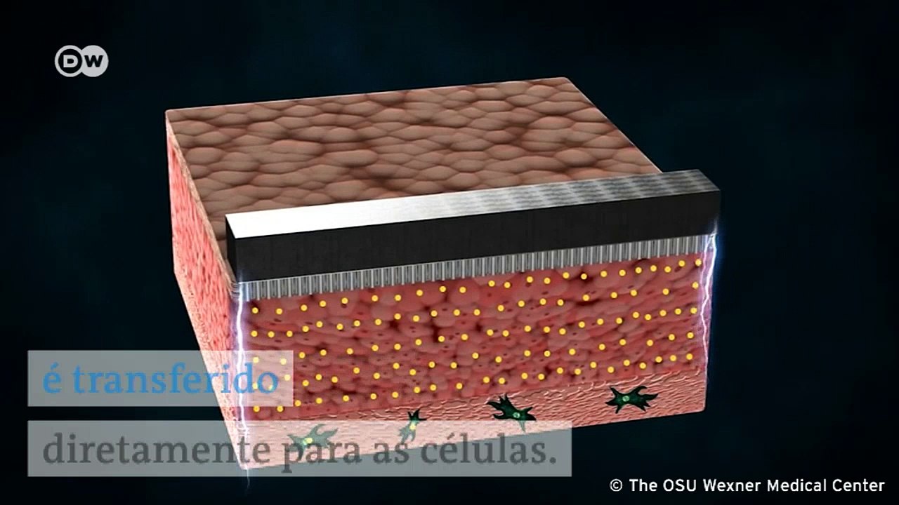 Cientistas desenvolvem chip que reprograma células